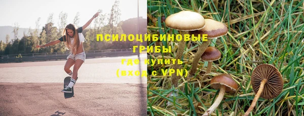 2c-b Алексин