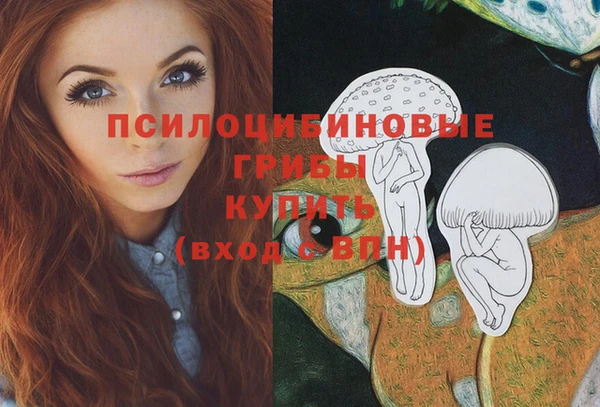 2c-b Алексин