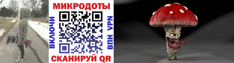 Псилоцибиновые грибы Psilocybine cubensis купить сайты даркнет формула Катав-Ивановск